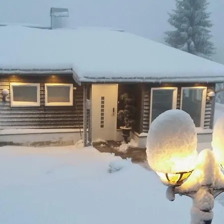 Cosy Garden With Private Deck Drammen